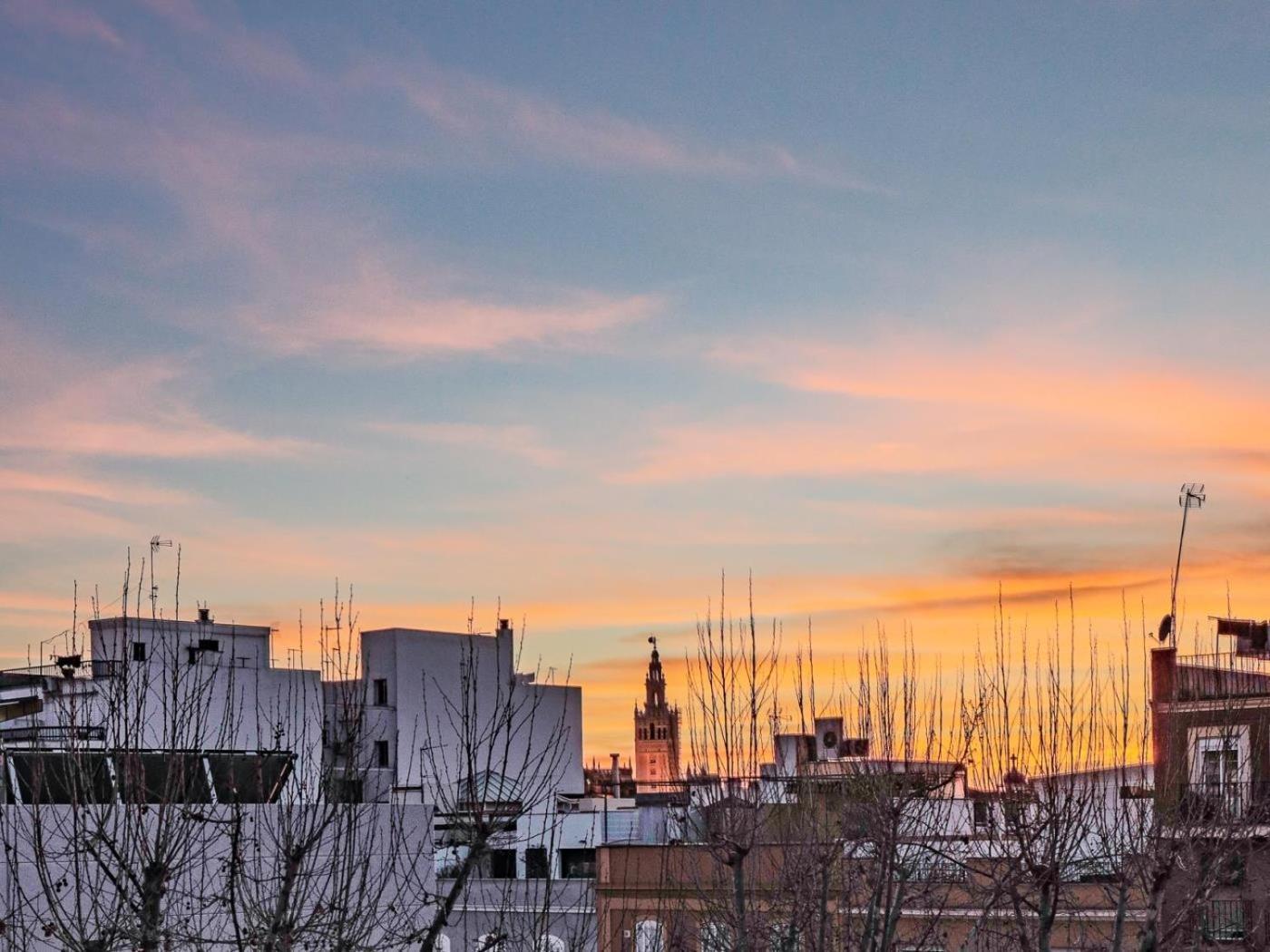 Bonito Atico En El Centro Con Terraza * Sevilla